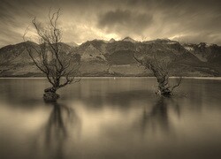 Szary + Sepia