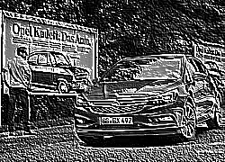 Skamielina