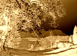 Sepia + Negatyw