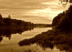 Sepia