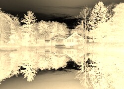 Sepia + Negatyw