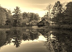 Sepia