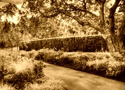 Sepia