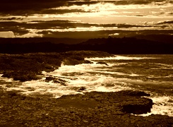 Sepia