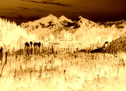 Sepia + Negatyw