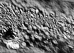 Skamielina