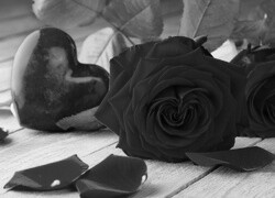 Szary