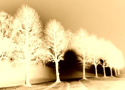Sepia + Negatyw