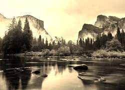 Sepia