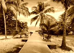 Sepia
