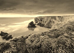 Szary + Sepia