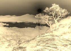 Sepia + Negatyw