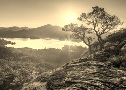 Szary + Sepia