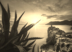 Szary + Sepia