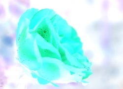Negatyw