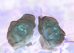 Negatyw