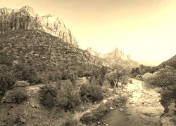 Szary + Sepia