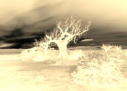 Sepia + Negatyw