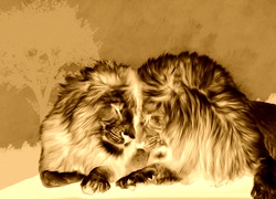 Sepia + Negatyw