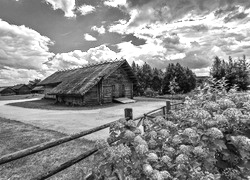 Szary + Sepia