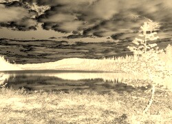 Sepia + Negatyw