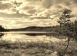 Sepia