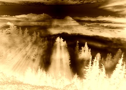 Sepia + Negatyw