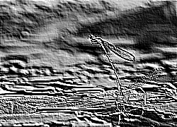Skamielina