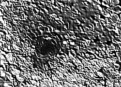 Skamielina