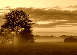 Sepia