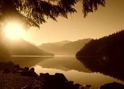 Sepia