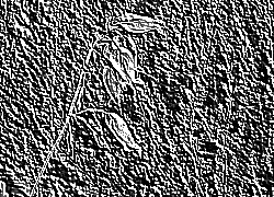 Skamielina