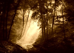Sepia