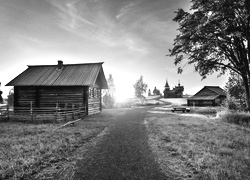 Szary + Sepia