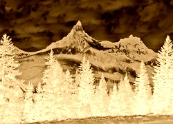 Sepia + Negatyw