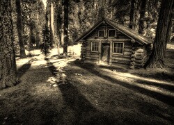 Szary + Sepia
