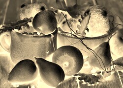 Sepia + Negatyw