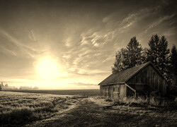 Sepia