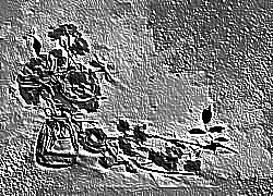 Skamielina