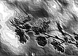 Skamielina