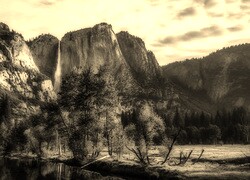 Szary + Sepia