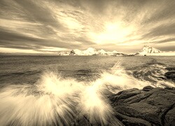 Szary + Sepia