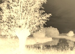 Sepia + Negatyw