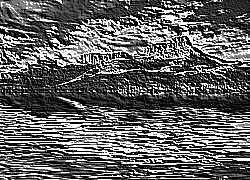 Skamielina