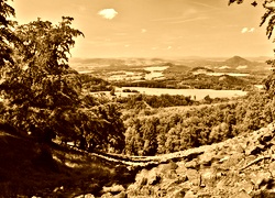 Sepia