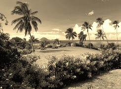 Szary + Sepia