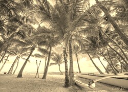 Szary + Sepia