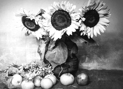 Szary + Sepia