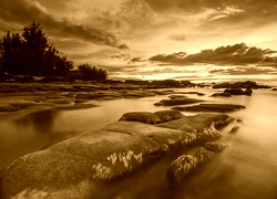 Sepia