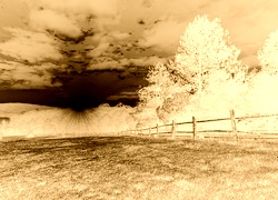Sepia + Negatyw